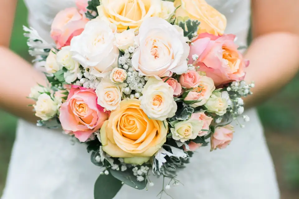 L'échoppe Naturelle — photo 1