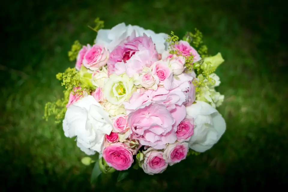 Bruno Chapman Photographe — photo 8