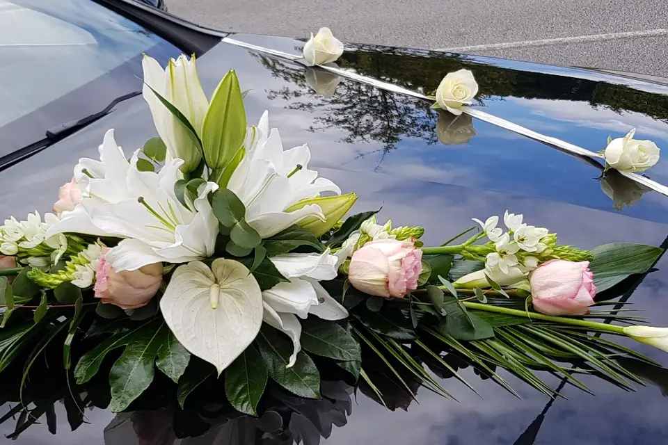 L'Art Végétal — photo 5