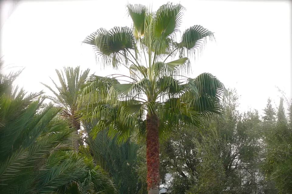 Philippe Deneubour — photo 8