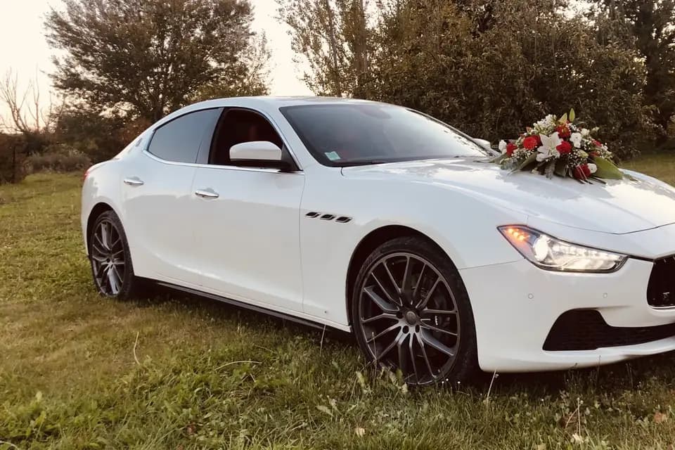 Red-Carpet — photo 2