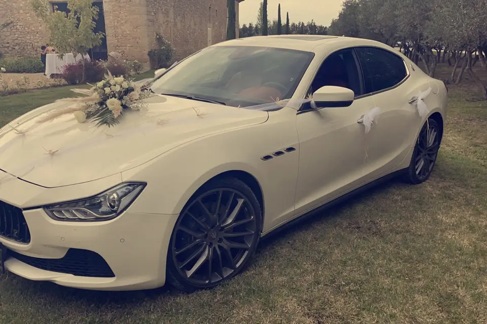 Red-Carpet — photo 6