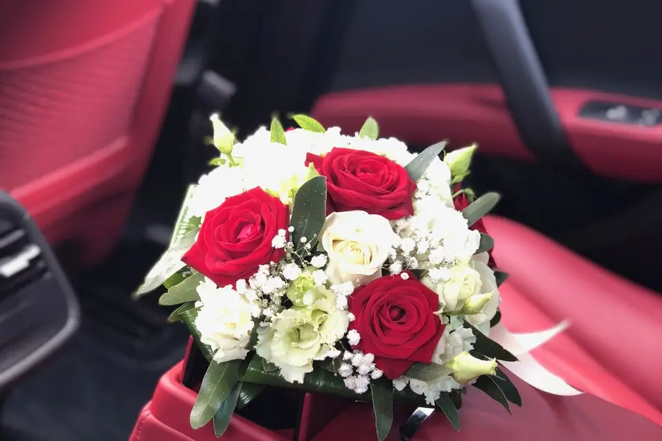 Red-Carpet — photo 1