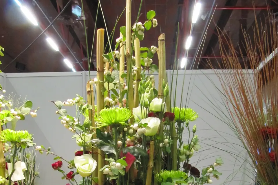 France Fleurs — photo 8