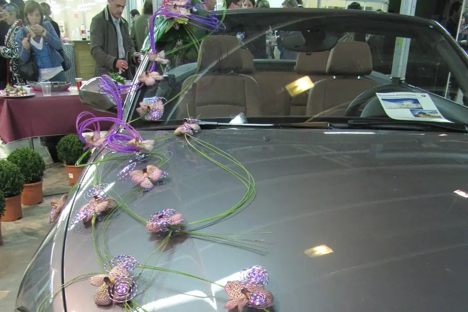 France Fleurs — photo 6