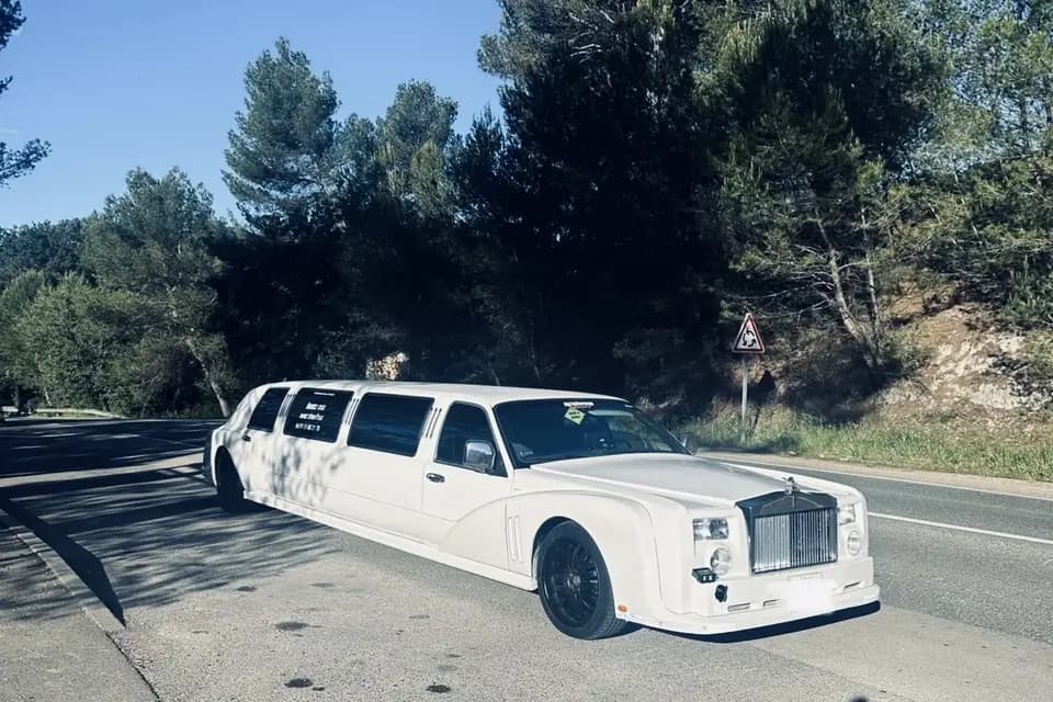 AM VIP Limousine — photo 1