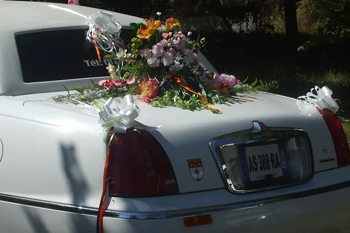 Aubusson American Limousine Service — photo 4