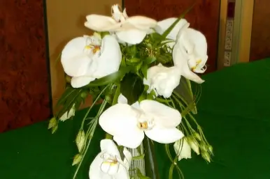 Mary’ Flor — photo 4