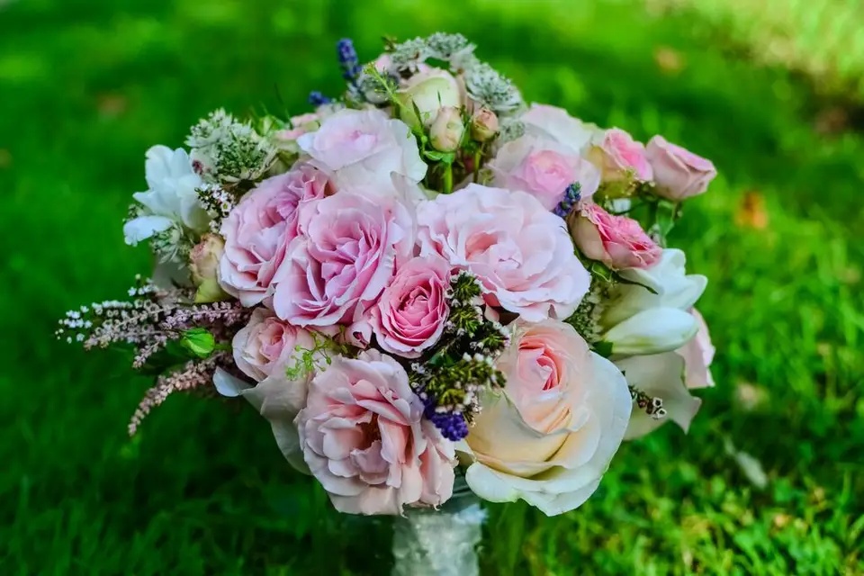 Kate's Blooms — photo 3