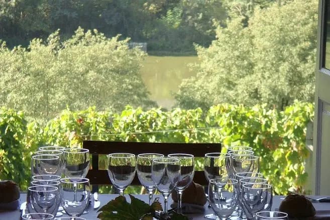 Château Tournefeuille — photo 8