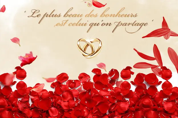 Carte Cocoon — photo 8