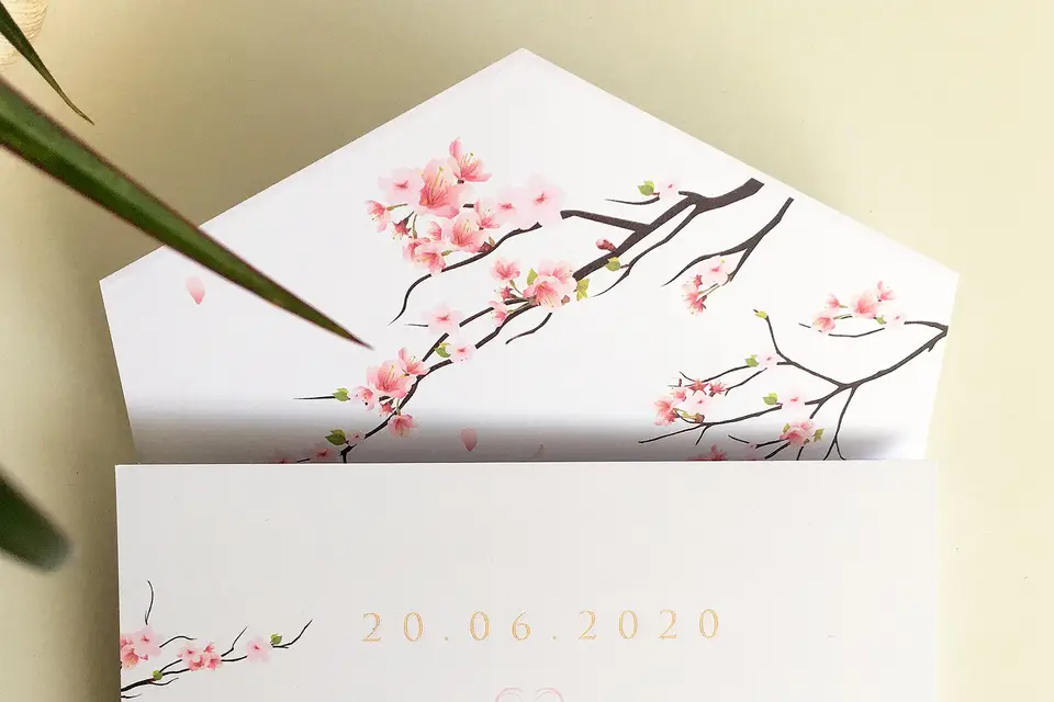 Carte Cocoon — photo 4