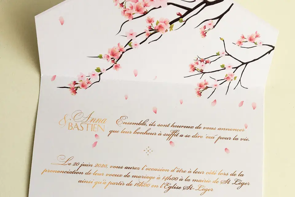 Carte Cocoon — photo 6