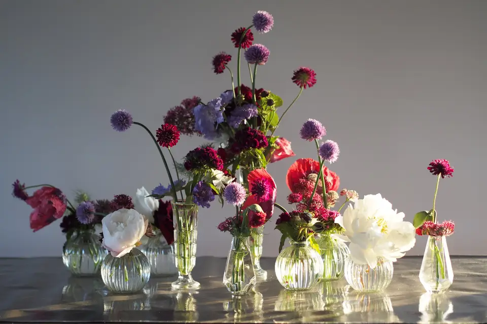 Sylvanne Ferme Florale — photo 1