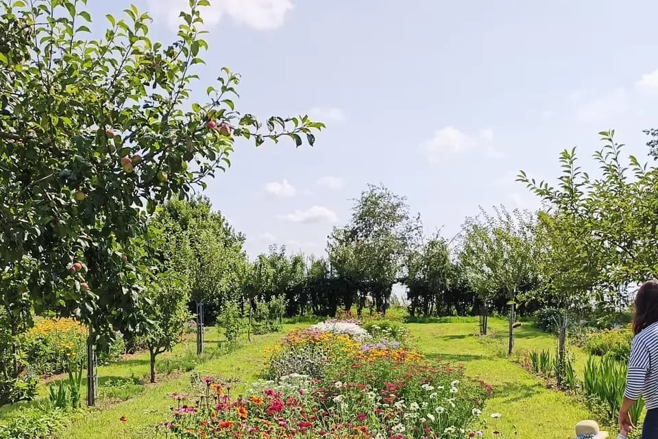 Sylvanne Ferme Florale — photo 4