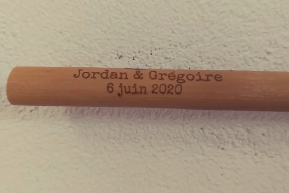 Green Panda — photo 1