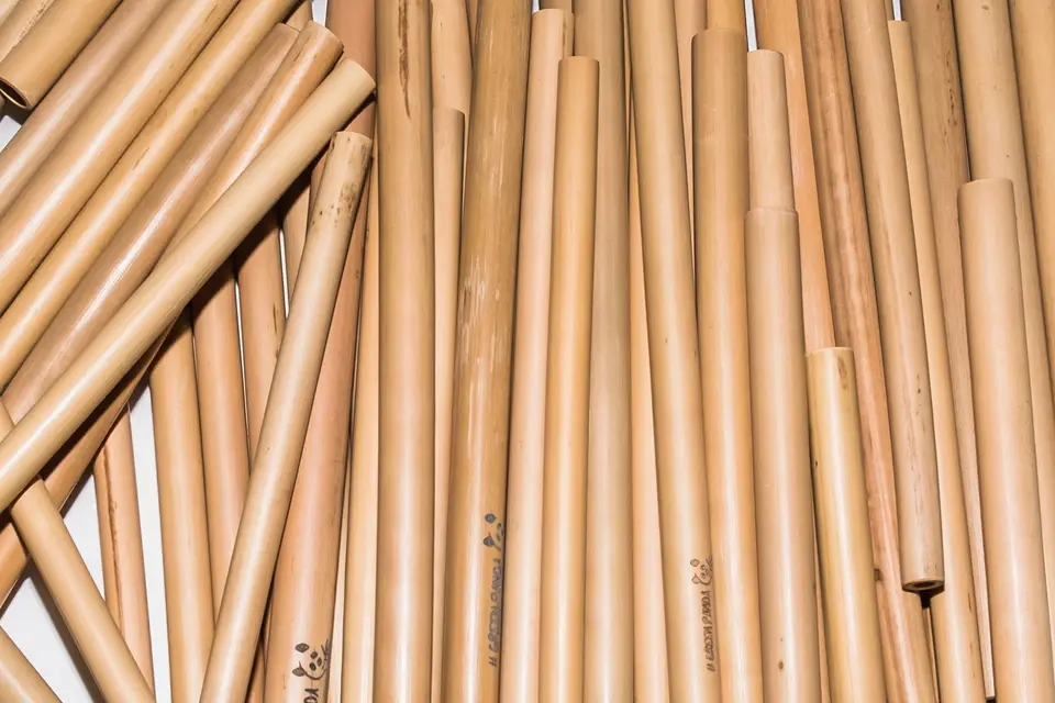 Green Panda — photo 4