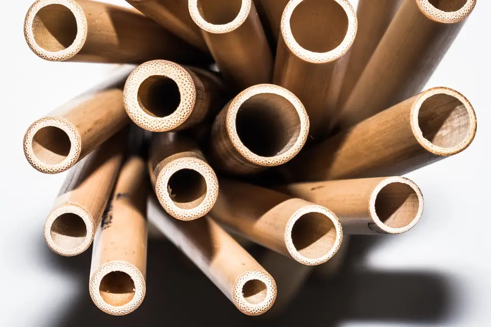 Green Panda — photo 6