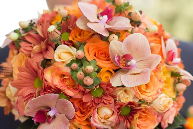 Les Plus Belles Fleurs — photo 7