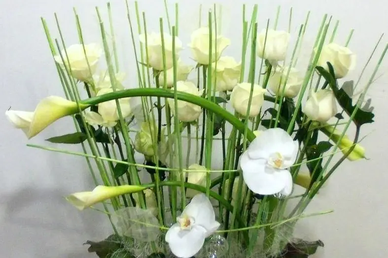 Les Plus Belles Fleurs — photo 1