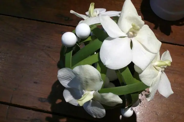 Les Plus Belles Fleurs — photo 4