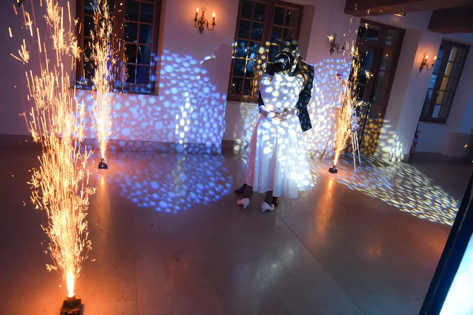 Phenix-Anim — photo 4