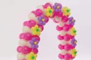 Anim Festif — photo 1