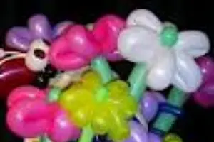 Anim Festif — photo 6