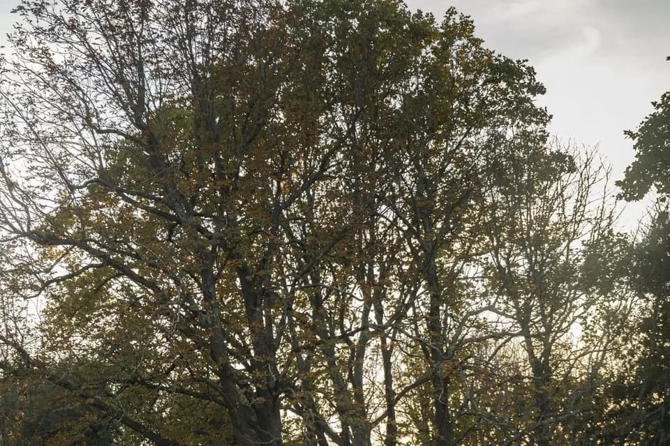 K&l auto — photo 6