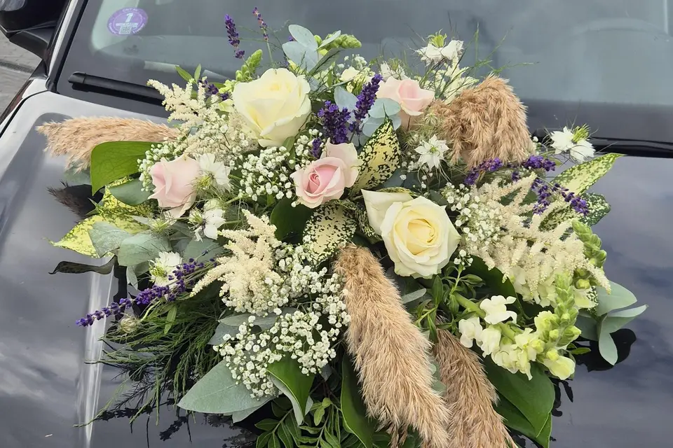 Inflorescence — photo 6