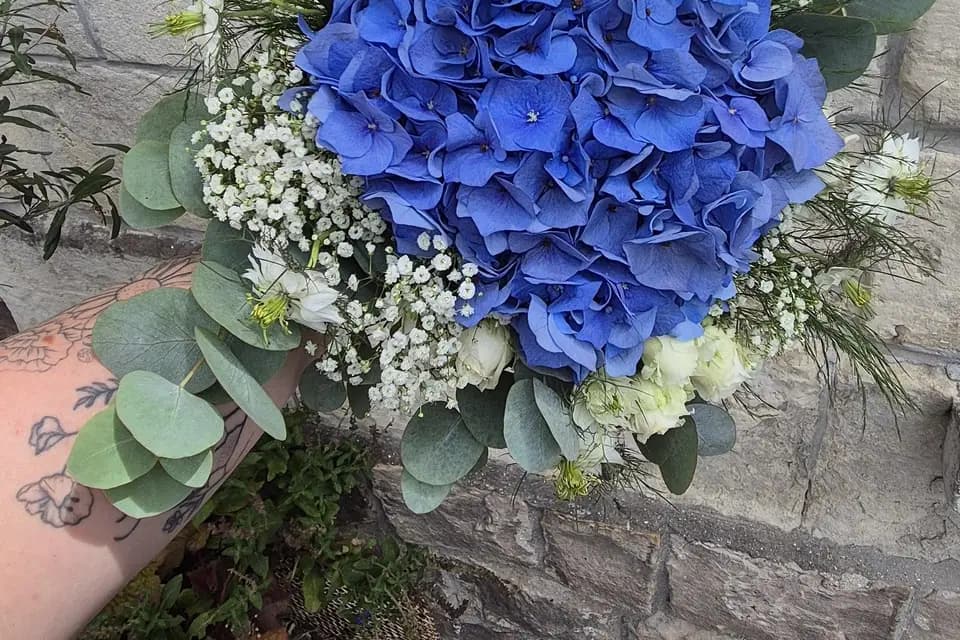 Inflorescence — photo 5