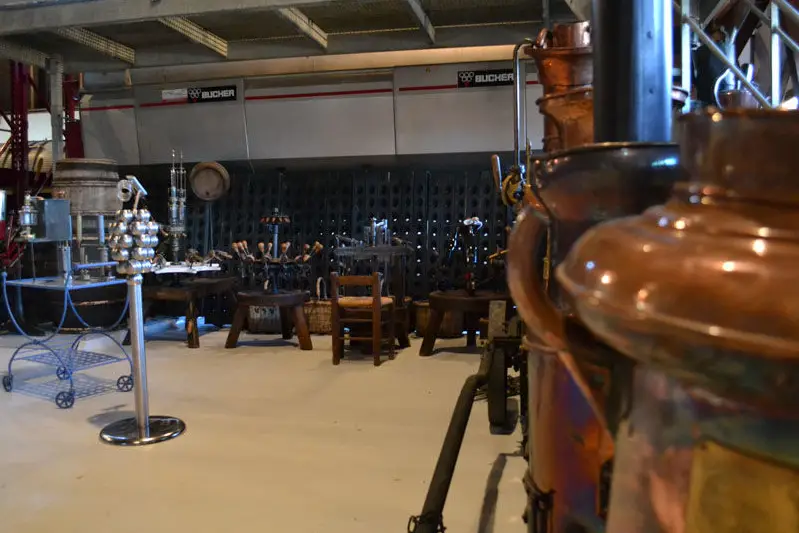 Champagne Lhuillier — photo 4