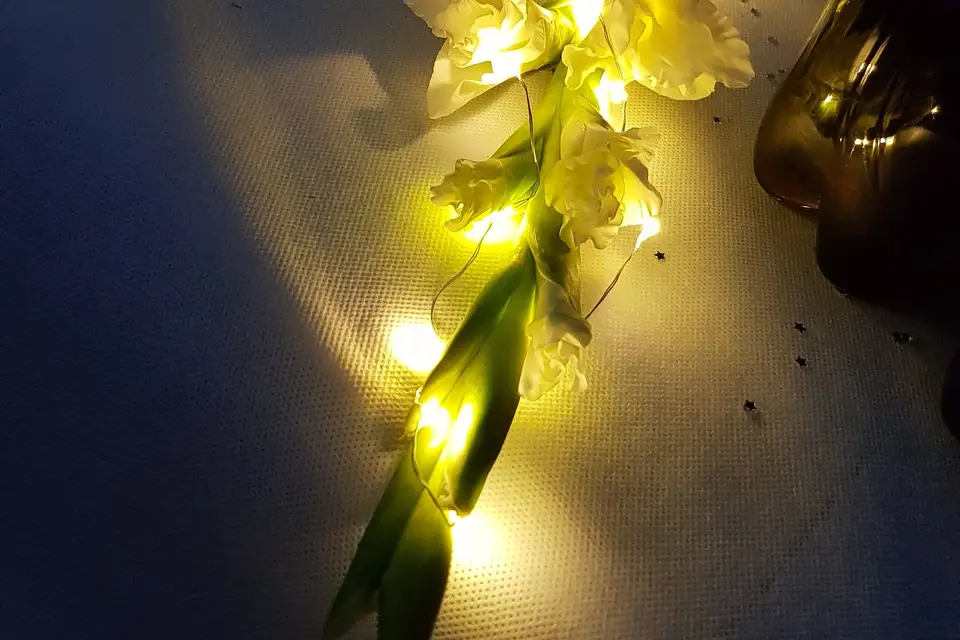 ProfFête — photo 5