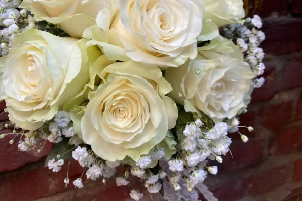 Au Temps des Fleurs — photo 8