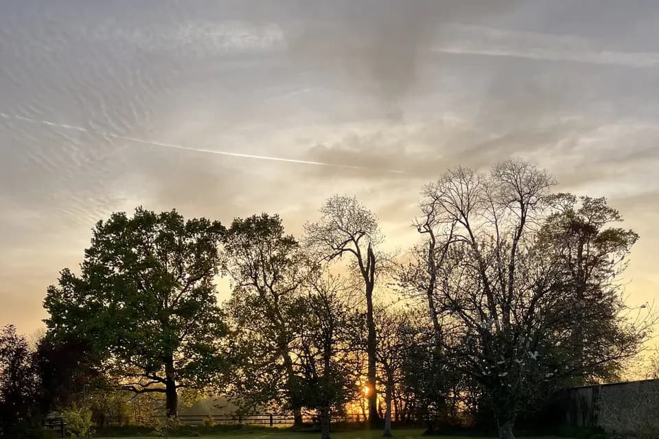 Domaine du Grand Caugy — photo 7