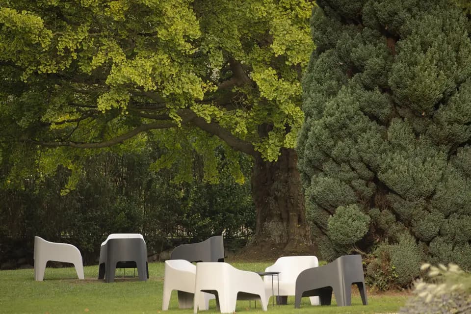 Le Domaine des Buis — photo 2