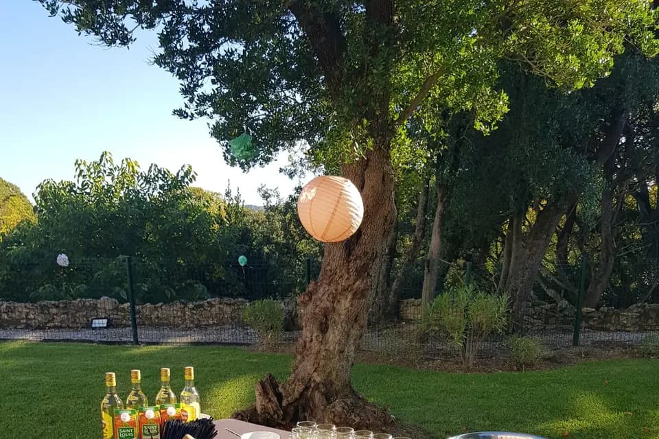 Double DD — photo 8