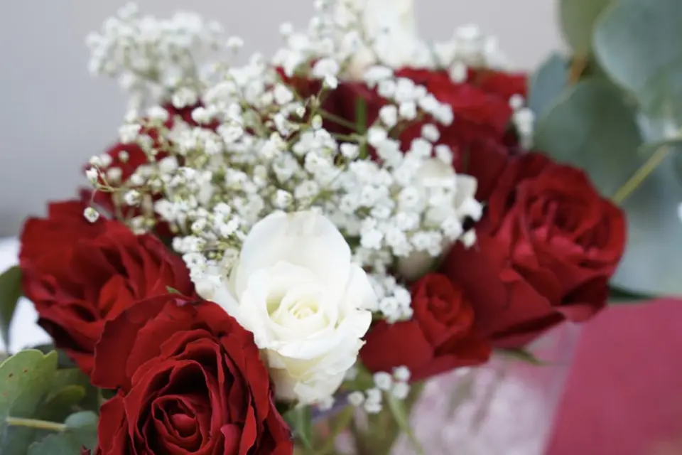 Clairett'events — photo 6