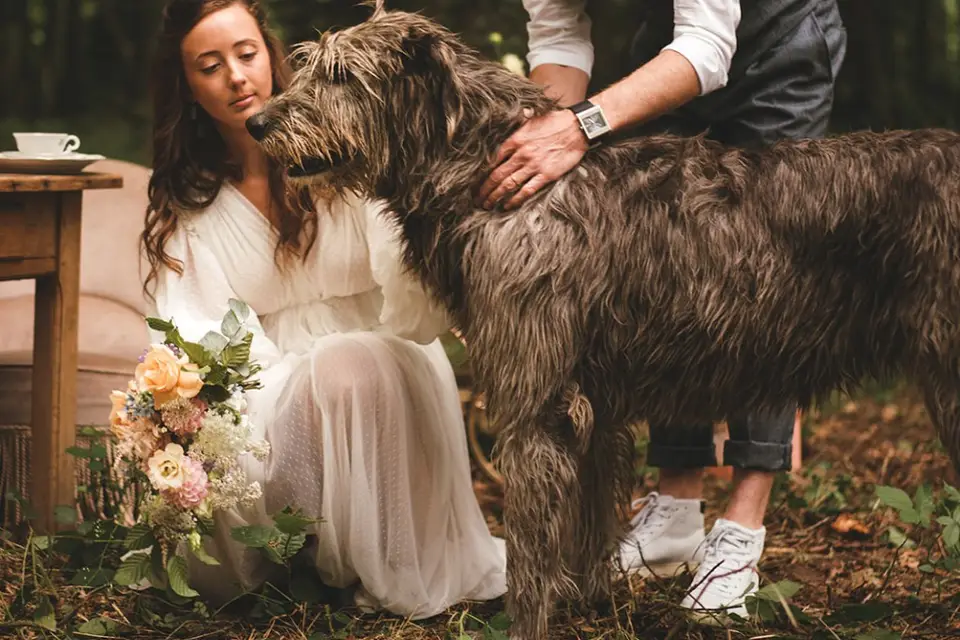 Max Martins — photo 5