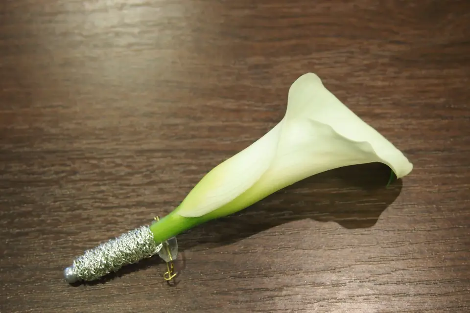 L'atelier de Anne — photo 6