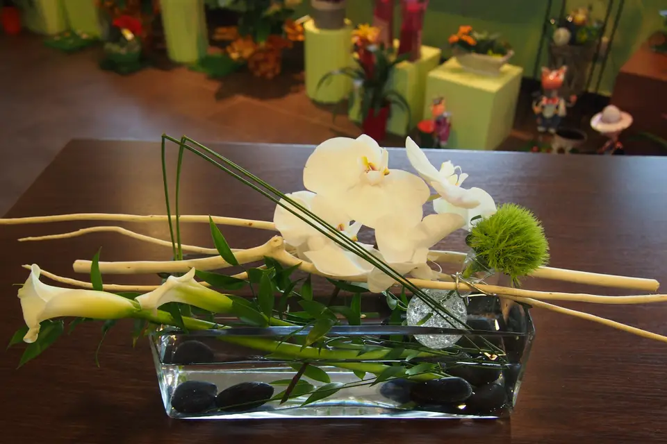 L'atelier de Anne — photo 5