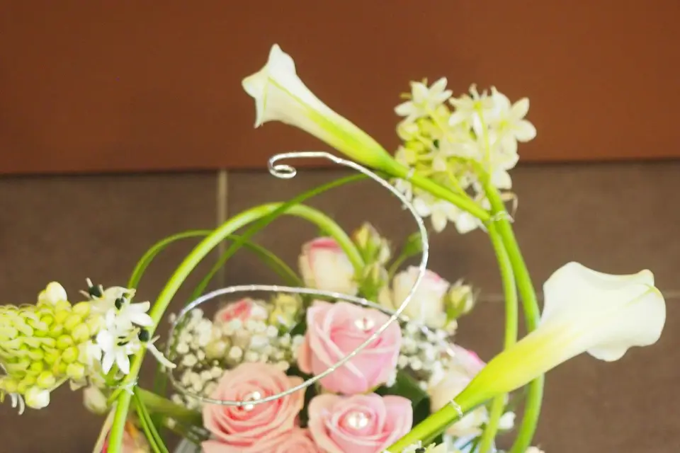 L'atelier de Anne — photo 4