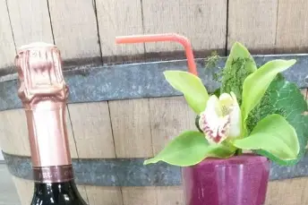 L'Ami du Vigneron — photo 3