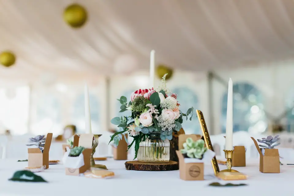 Les Pissenlits par la Racine — photo 5