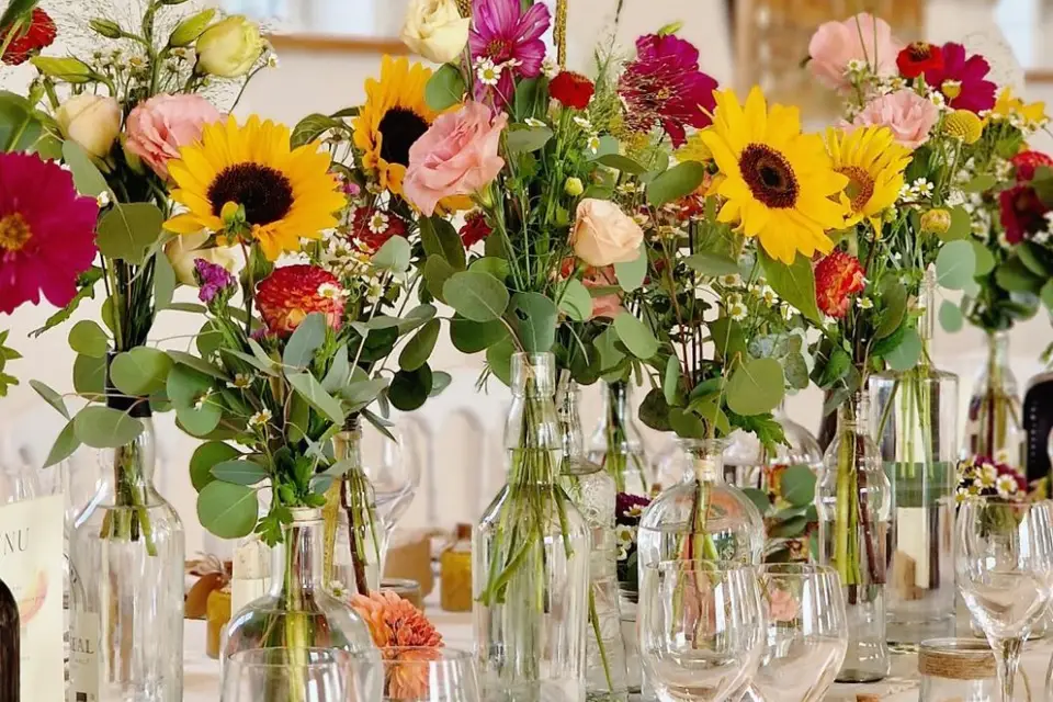 Les Pissenlits par la Racine