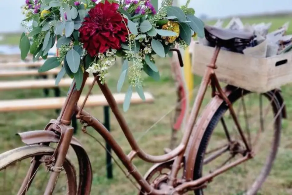 Les Pissenlits par la Racine — photo 2