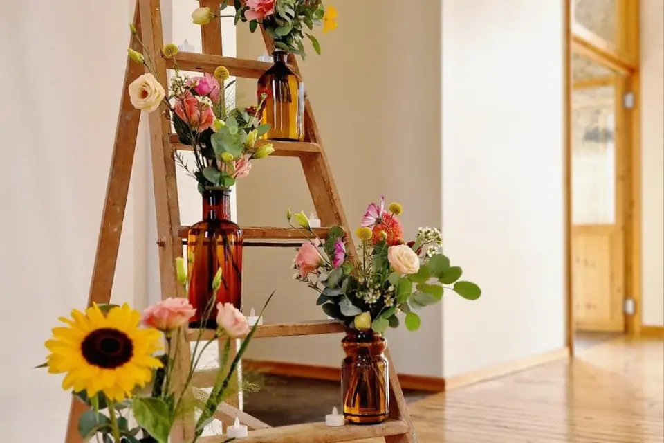 Les Pissenlits par la Racine — photo 1