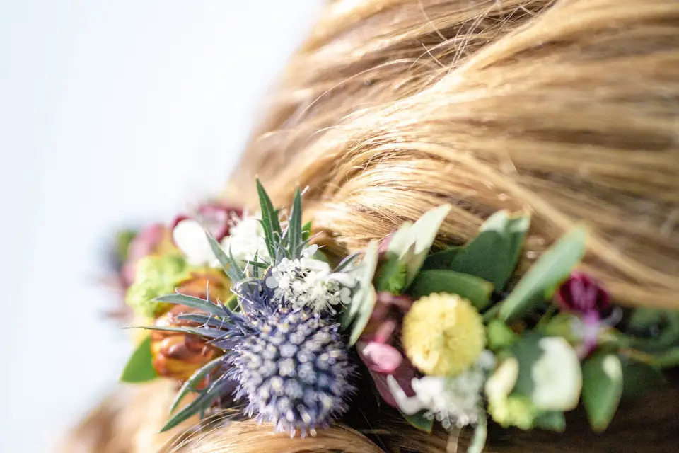 Les Pissenlits par la Racine — photo 8