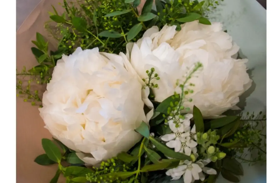 Serendipity — photo 5