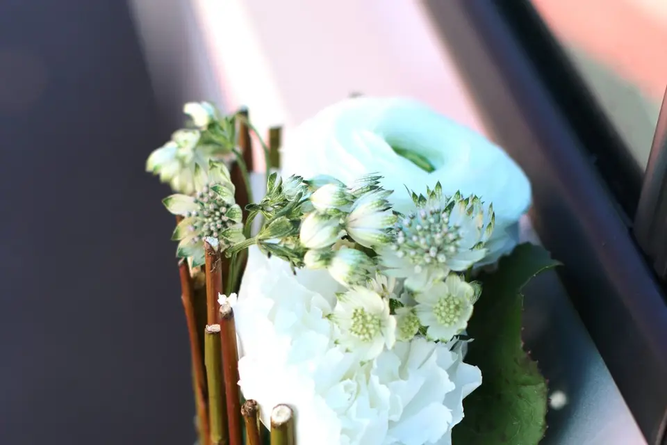 La Source aux Fleurs — photo 8